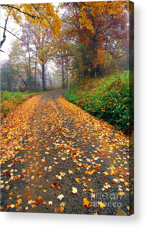 West Virginia Acrylic Print featuring the photograph Country Roads Take Me Home by Thomas R Fletcher