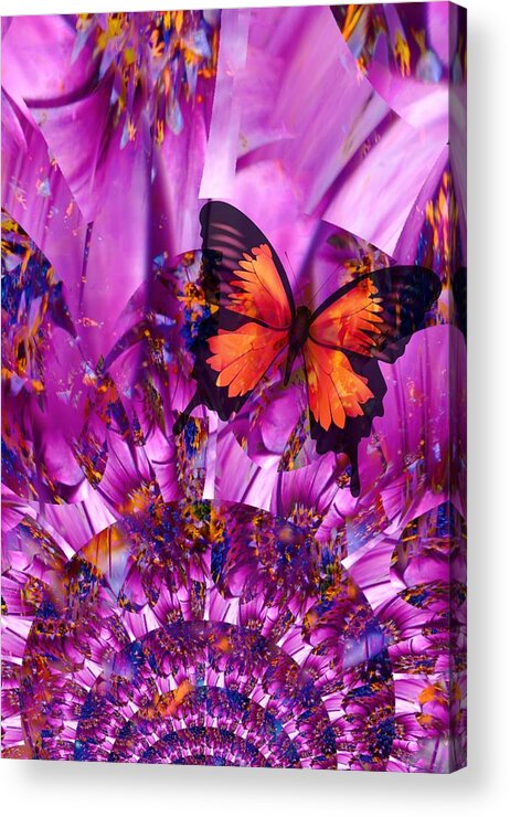 Purple Acrylic Print featuring the photograph Crazy Flower Butterfly by Amanda Eberly