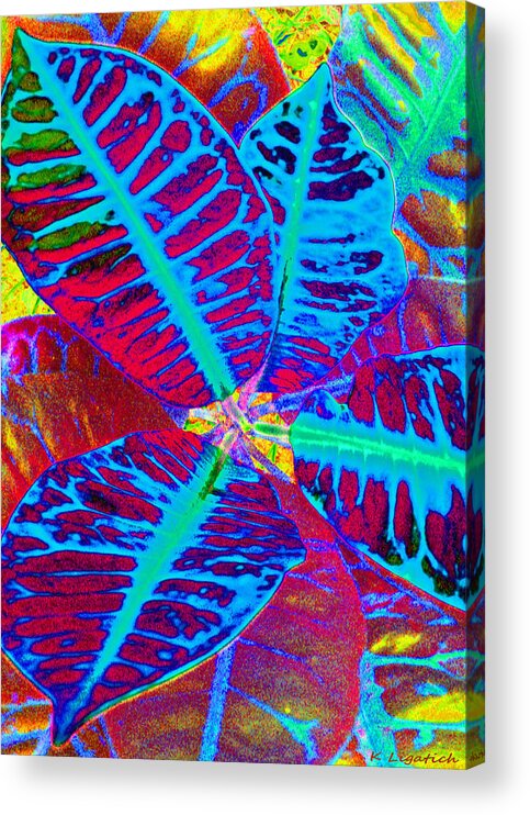 Croton Acrylic Print featuring the digital art Croton - Primary Blend by Kerri Ligatich