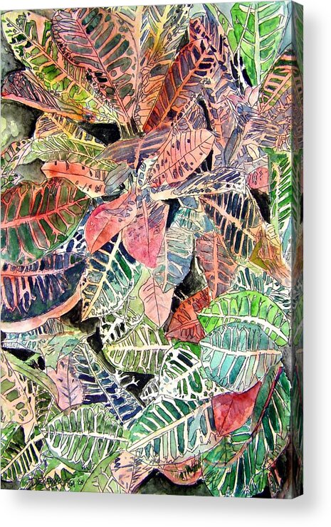 Croton Acrylic Print featuring the painting Croton tropical art print by Derek Mccrea