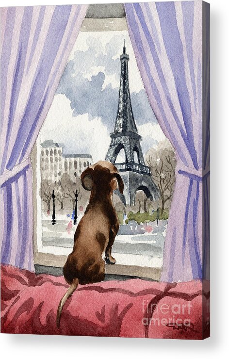 Dachshund Acrylic Print featuring the painting Dachshund In Paris by David Rogers