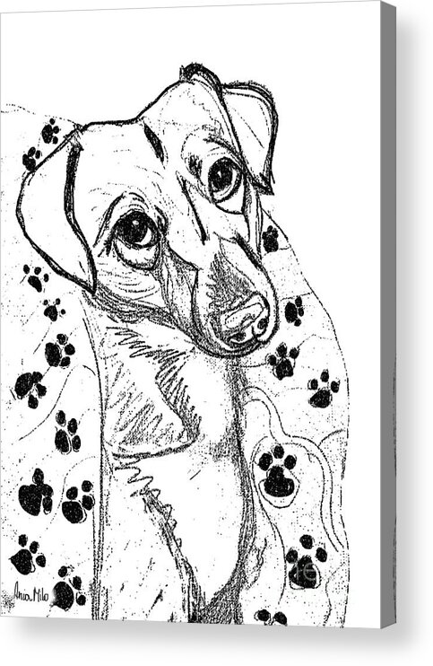 Dog Acrylic Print featuring the digital art Dog Sketch in Charcoal 4 by Ania M Milo