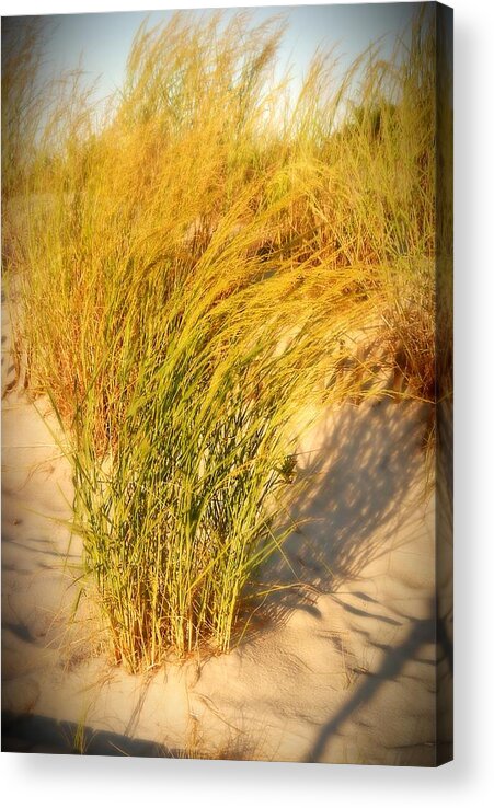 Jersey Shore Acrylic Print featuring the photograph Dune Grass II - Jersey Shore by Angie Tirado