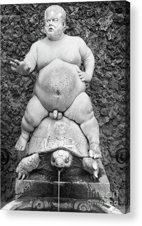 Boboli Gardens Acrylic Print featuring the photograph Dwarf On Turtle by Granger
