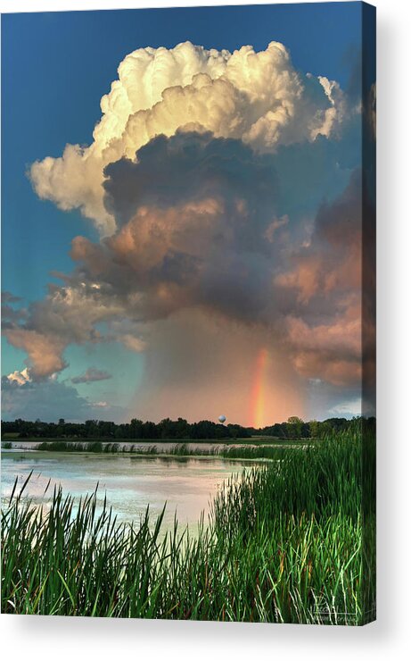 Edgerton Wi Rainbow Pond Cattails Wisconsin Rainshower Rainstorm Rain Green Blue Vertical Acrylic Print featuring the photograph Edgerton Pond Rainbow by Peter Herman