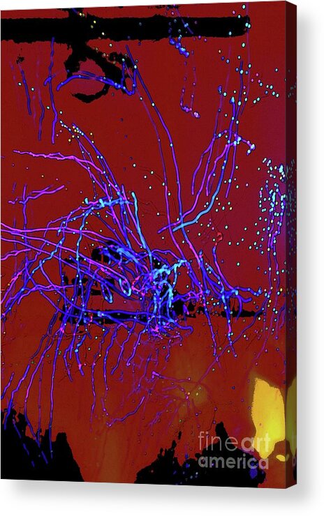 Abstract Acrylic Print featuring the photograph Electric Insect by Craig Wood