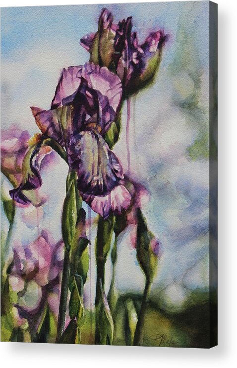 Watercolor Acrylic Print featuring the painting Enchanted Iris Garden by Tracy Male