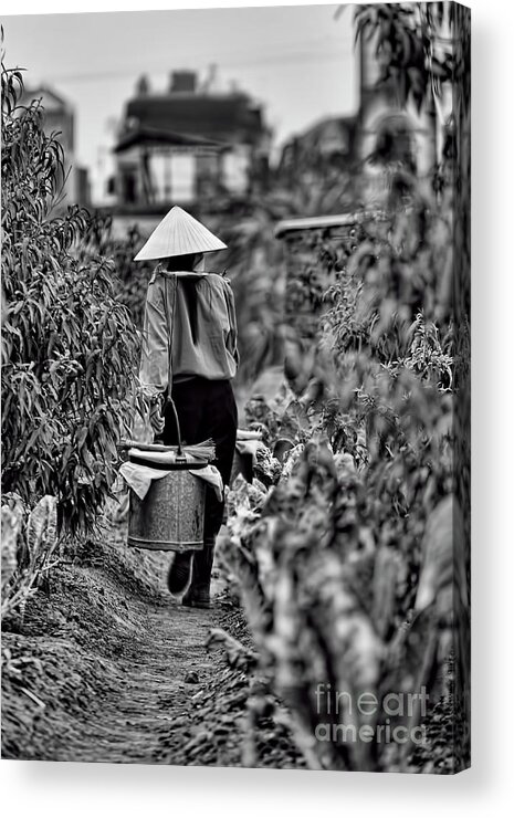 Vietnam Acrylic Print featuring the photograph End of the Day Vietnamese Woman by Chuck Kuhn
