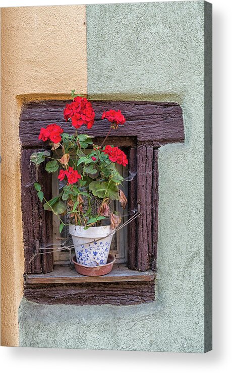 Still Life Acrylic Print featuring the photograph Flower Still Life by Alan Toepfer