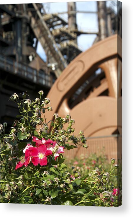 Bethlehem Steel Acrylic Print featuring the photograph Flowers and Steel by Michael Dorn