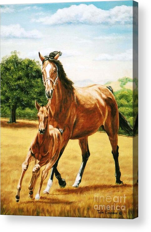Thoroughbred Acrylic Print featuring the painting Follow the Leader by Tom Chapman
