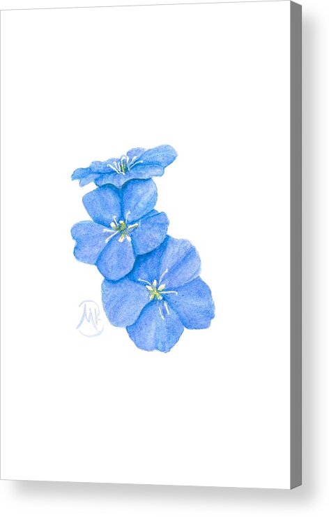 Flowers Acrylic Print featuring the painting Forget Me Nots by Monica Burnette