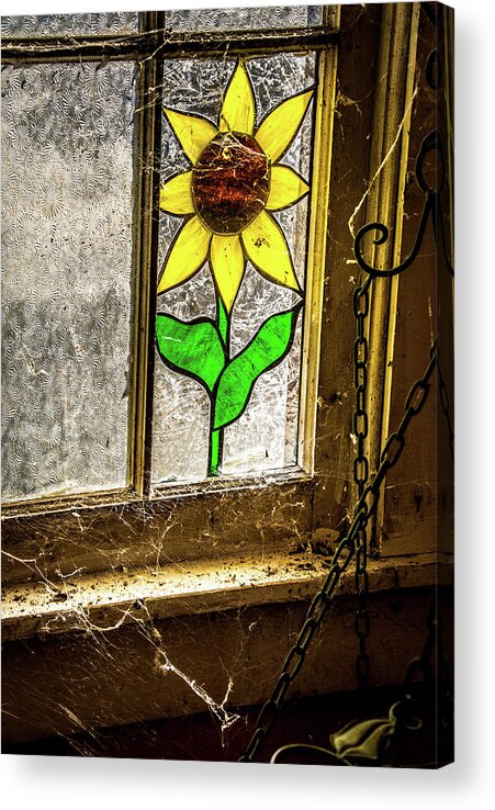 Garden Acrylic Print featuring the photograph Garden Shed Window by Steph Gabler