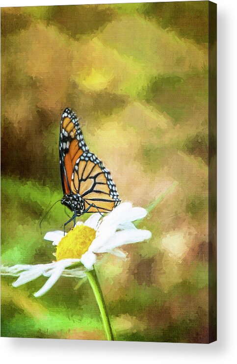 Butterfly Acrylic Print featuring the photograph Garden Visitor by Cathy Kovarik