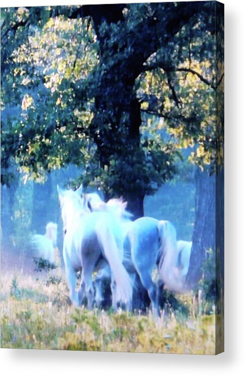 Horses Acrylic Print featuring the digital art Ghost Horses by Susan Esbensen