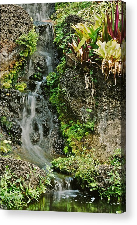 Waterfall Acrylic Print featuring the photograph Hawaiian Waterfall by Michael Peychich
