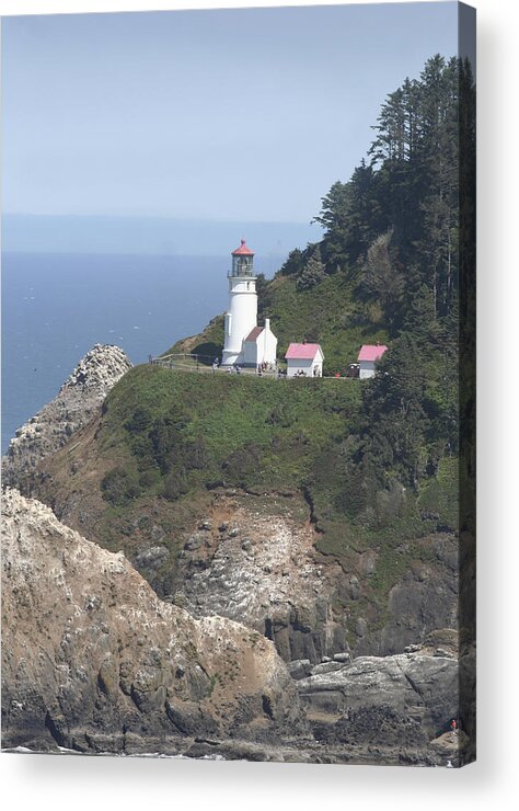 Lighthouse Acrylic Print featuring the photograph Heceta Head Lighthouse LI 9000 by Mary Gaines