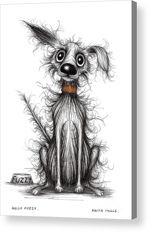Fuzzy Acrylic Print featuring the drawing Hello Fuzzy by Keith Mills