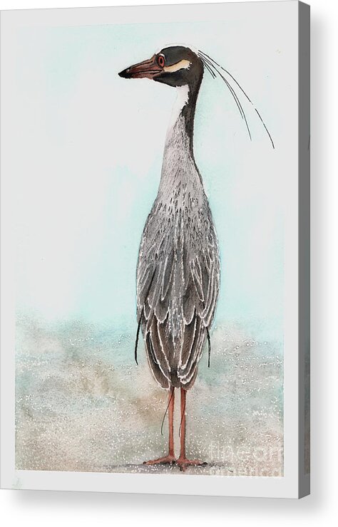 Heron Acrylic Print featuring the painting Heron Posing by Hilda Wagner
