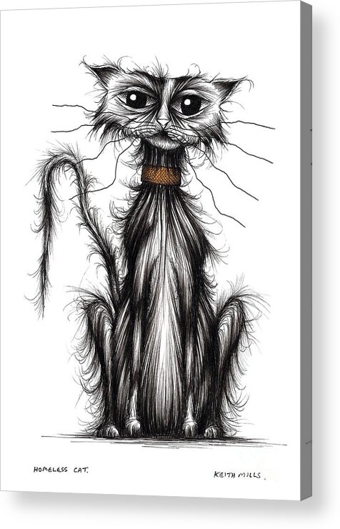 Homeless Acrylic Print featuring the drawing Homeless cat by Keith Mills