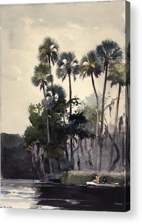 Winslow Homer (american Acrylic Print featuring the painting Homosassa River by MotionAge Designs