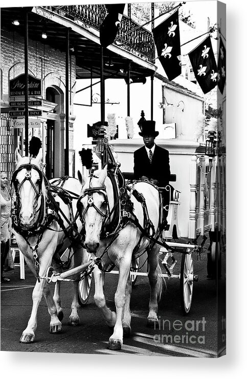 Horse Acrylic Print featuring the photograph Horse Drawn Funeral Carriage by Kathleen K Parker