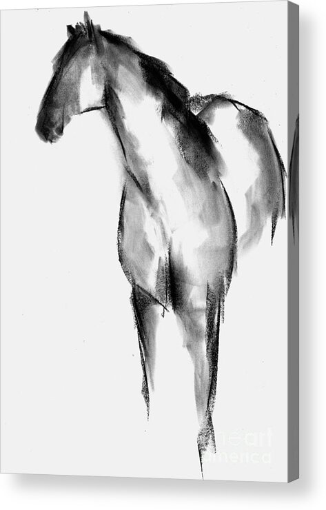 Equine Art Acrylic Print featuring the drawing Horse Sketch by Frances Marino