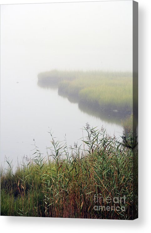 Fog Acrylic Print featuring the digital art Inlet by Dianne Morgado