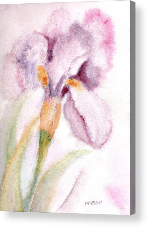 Floral Acrylic Print featuring the painting Iris Study I by Marsha Woods