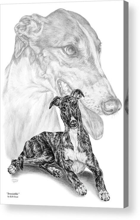 Greyhound Acrylic Print featuring the drawing Irresistible - Greyhound Dog Print by Kelli Swan