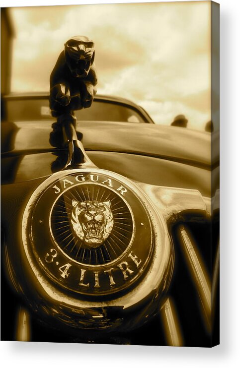Classic Racing Cars Acrylic Print featuring the photograph Jaguar Car Mascot by John Colley