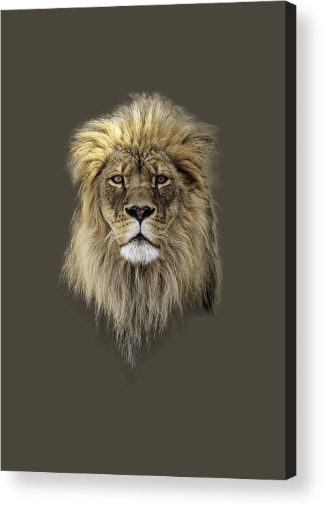 Lion Acrylic Print featuring the photograph Joshua t-shirt color by Everet Regal