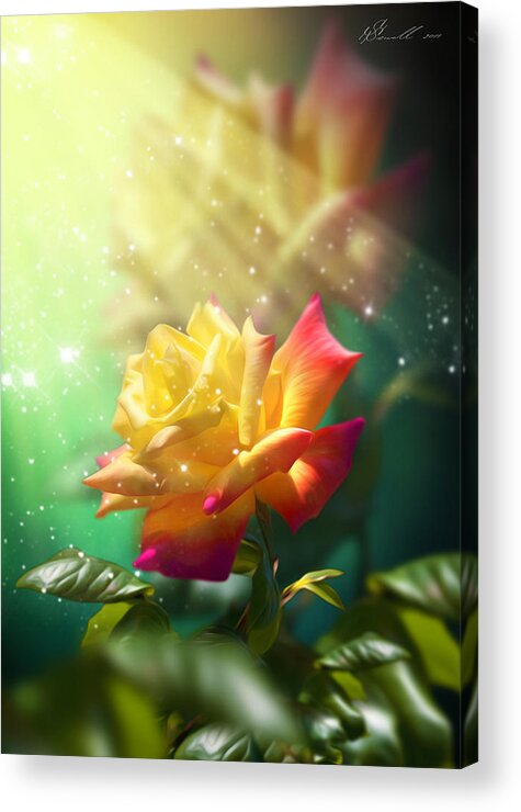 Anniversary Acrylic Print featuring the digital art Juicy Rose by Svetlana Sewell