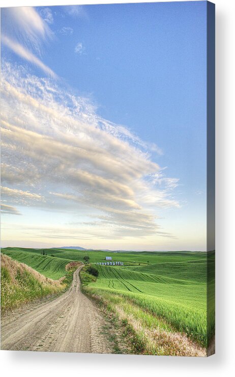 Outdoors Acrylic Print featuring the photograph June Afternoon by Doug Davidson