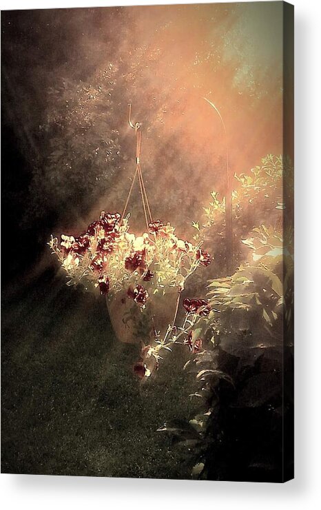 Sun Acrylic Print featuring the photograph Just Dreaming by Dani McEvoy