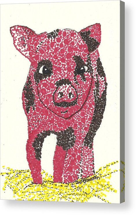 Pig Acrylic Print featuring the drawing Kai by Ali Baucom