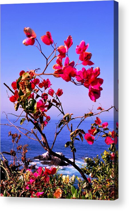 Laguna Acrylic Print featuring the photograph Laguna Red Flowers Overlook by Matt Quest