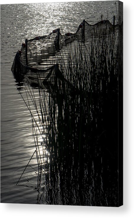 Lake Acrylic Print featuring the photograph Lakeside by Derek Dean