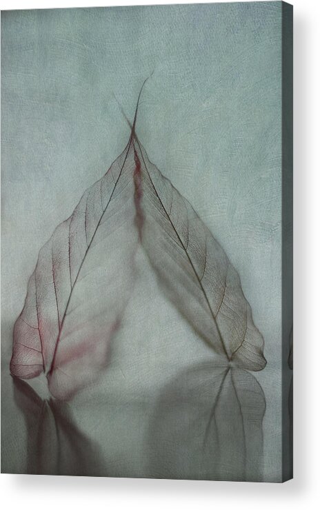 Leaves Acrylic Print featuring the photograph Lean on Me by Maggie Terlecki