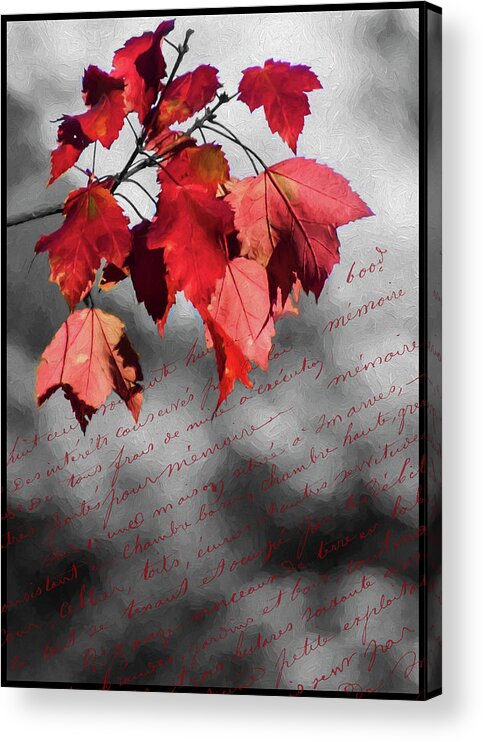 Black Acrylic Print featuring the photograph Leaves of Red by Cathy Kovarik