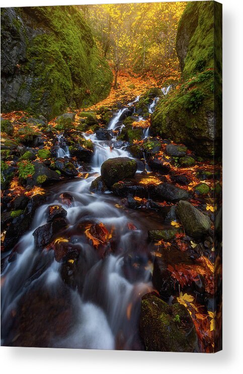 Fall Acrylic Print featuring the photograph Let the water fall by Darren White