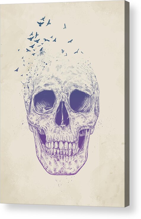 Skull Acrylic Print featuring the mixed media Let them fly by Balazs Solti
