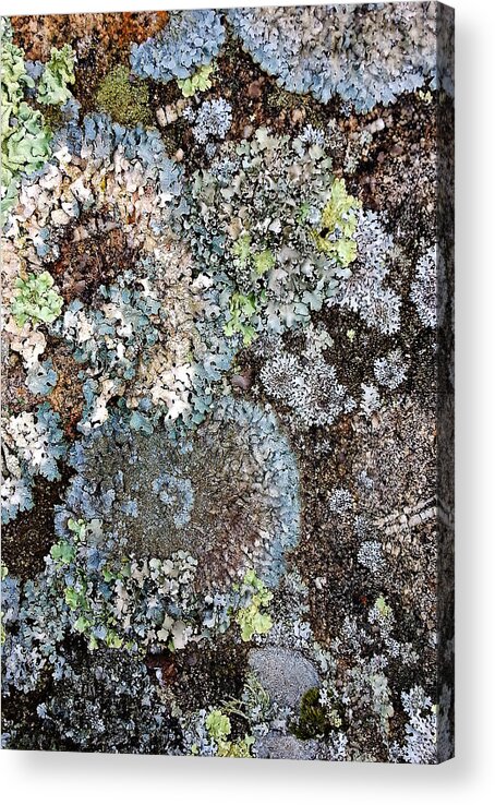 Lichens Acrylic Print featuring the digital art Lichens by Julian Perry