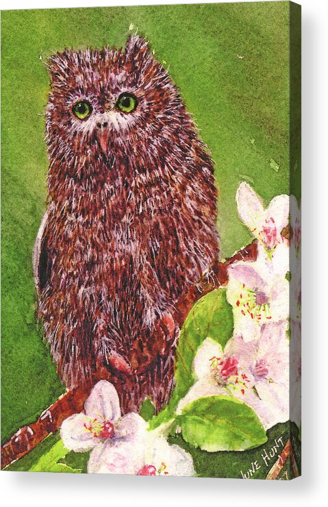 Owls Acrylic Print featuring the painting Little Screech Owl by June Hunt