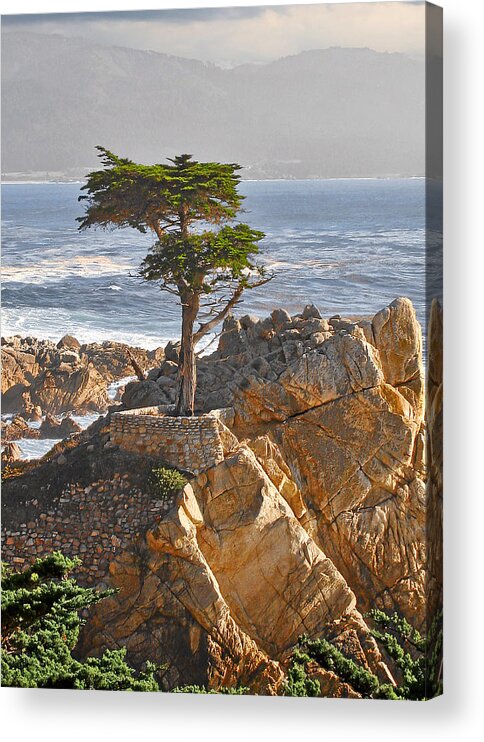 Pine Acrylic Print featuring the photograph Lone Cypress - The icon of Pebble Beach California by Alexandra Till
