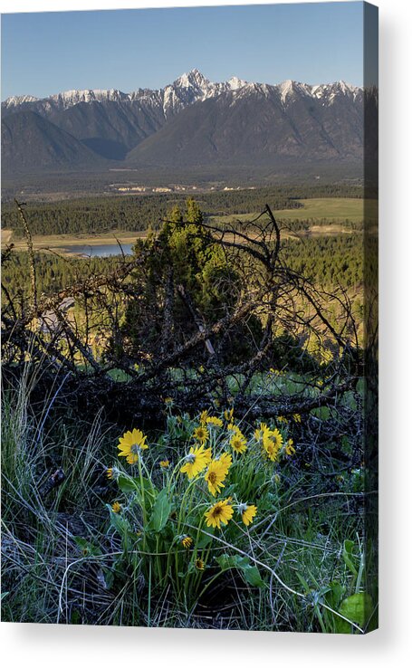 Landscape Acrylic Print featuring the photograph Lookout by Thomas Nay