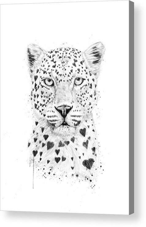 Leopard Acrylic Print featuring the drawing Lovely leopard by Balazs Solti