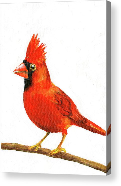 Cardinal Acrylic Print featuring the painting Male Cardinal by Donna Tucker