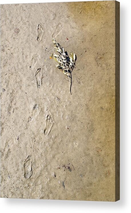 Sand Acrylic Print featuring the photograph More Footsteps by Florene Welebny
