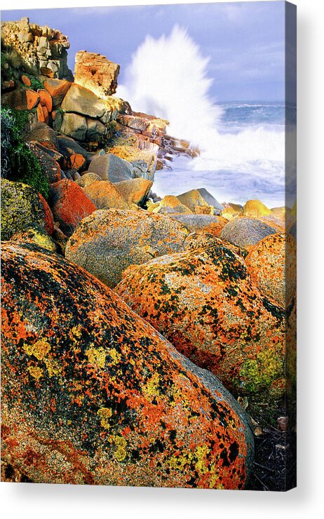 Multi-color Acrylic Print featuring the photograph Multicolor Rocks by Ted Keller